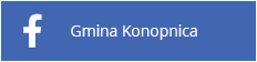 Ikona logo Facebook w menu